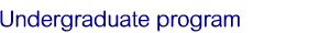 undergraduate program