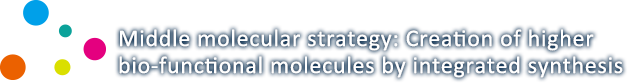 Middle molecular strategy: Creation of higher bio-functional molecules by integrated synthesis [Grant-in-Aid for Scientific Research on Innovative Areas]