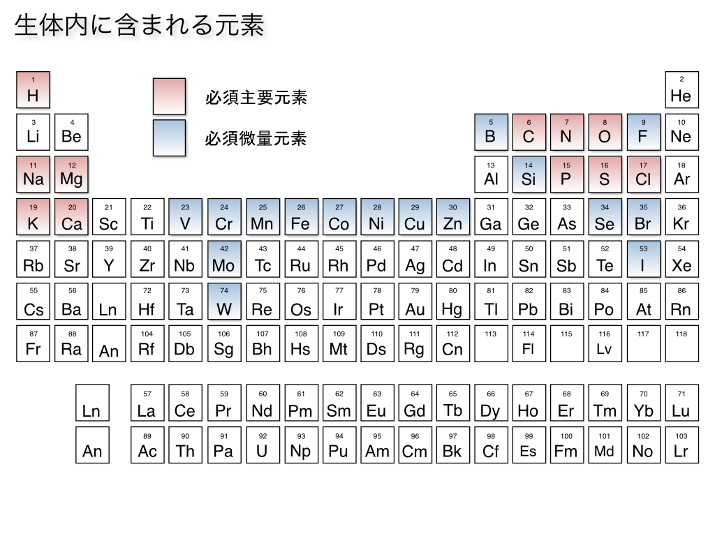 大阪大学大学院理学研究科化学専攻舩橋研究室 生物無機化学