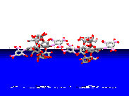 Diphenylacetyleneを軸分子とした-CD-Rotaxane