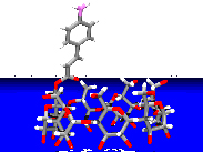 6-(4-Aminocinnamamide)--CDの超分子構造