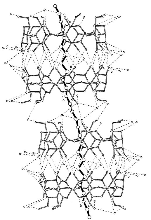 β-CDとPoly(trimethyleneoxide)の包接錯体