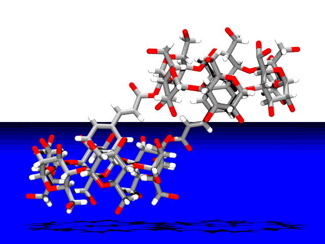2-Cinnamoyl-α-CDの超分子構造