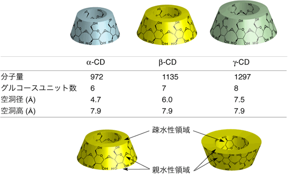 図1．シクロデキストリンの構造