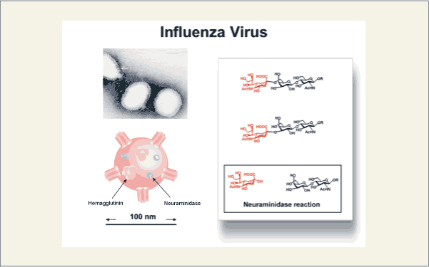 fig12