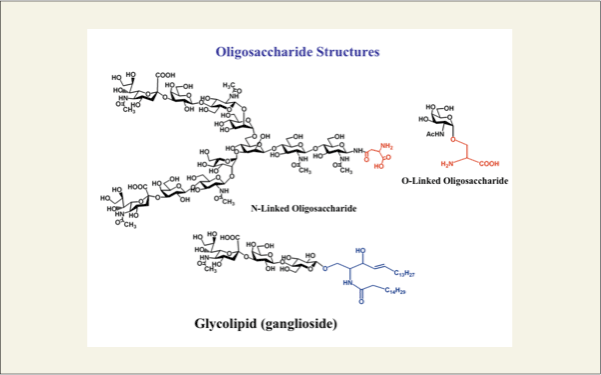 fig2