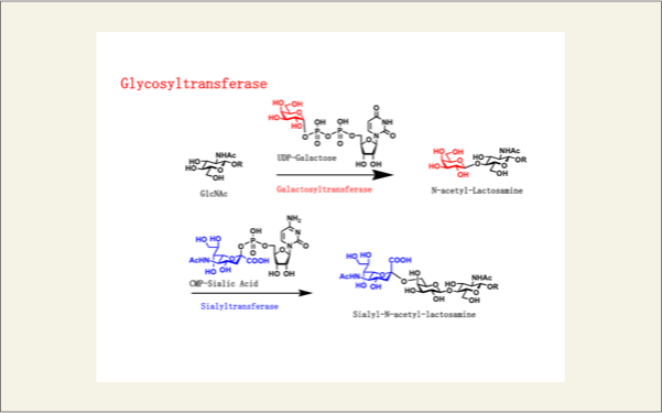 fig4