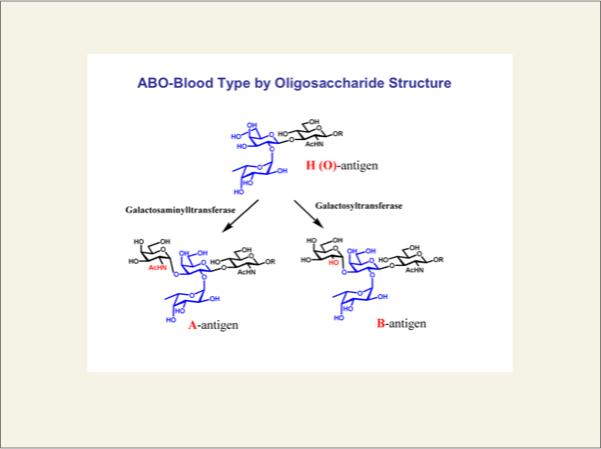 fig6