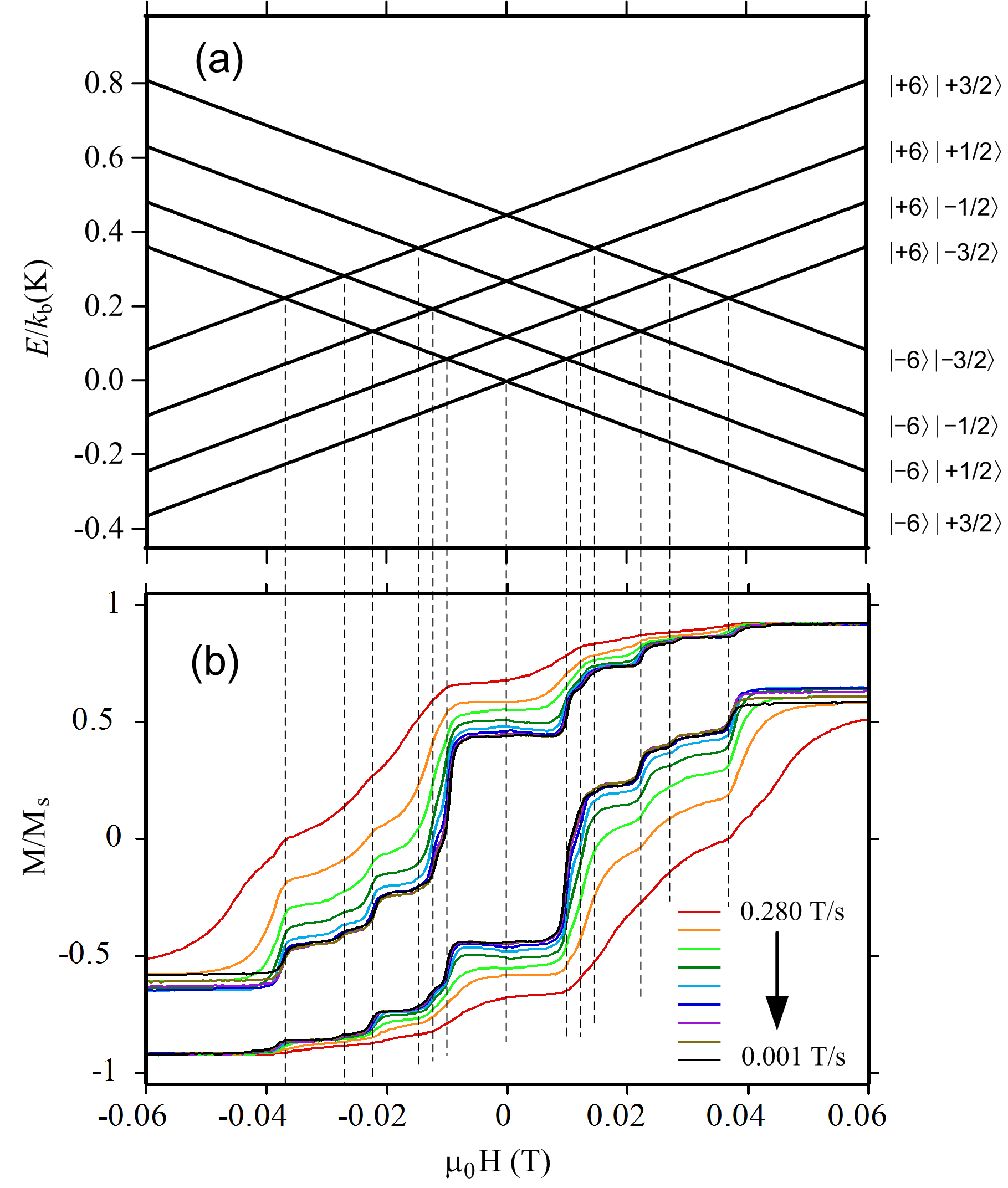 Discovery of Nuclear Spin Involvement in Quantum Tunneling Relaxation