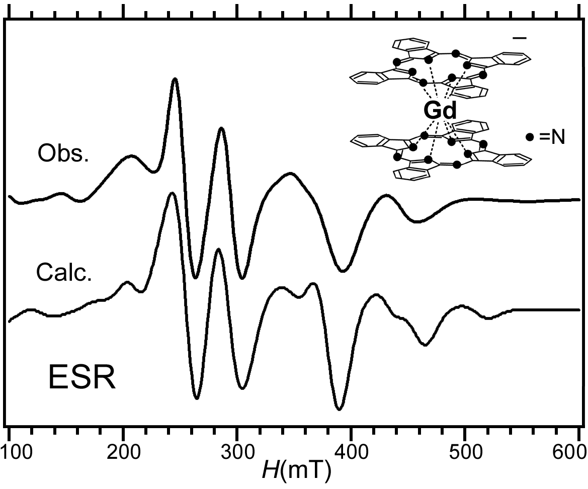 ESR Study of the Electronic Structure of Gadolinium Complexes