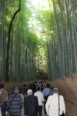 14akiensoku5