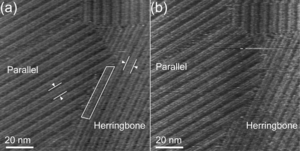 Fig5.tif