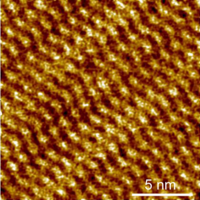 Pphttetrabr.038切り抜き.jpg（オリジナル）HP.ai