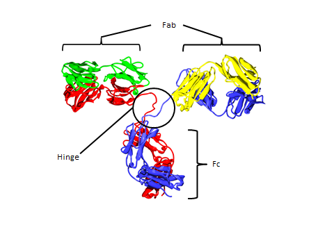 Fig. 1