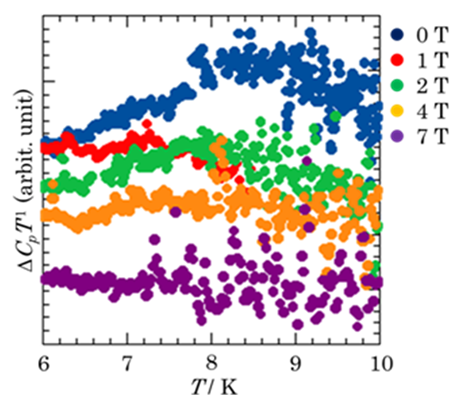 Fig. 2