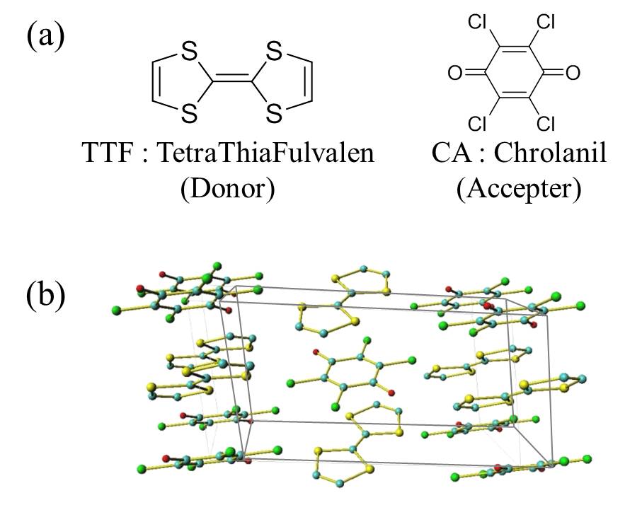 Fig. 1