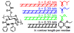 TOC