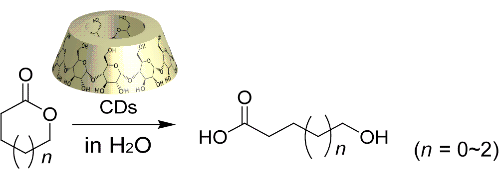 シクロデキストリンによりラクトンの重合。ポリマーのコンホメーションの重要性