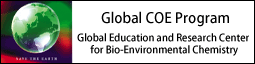 Global COE Program