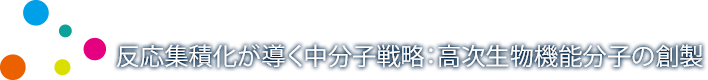 反応集積化が導く中分子戦略：高次生物機能分子の創製【新学術領域研究（領域提案型）：平成27～31年度】