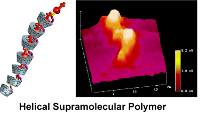 修飾CDにより形成されたらせん超分子ポリマー