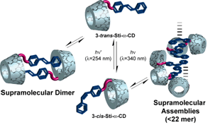スチルベン修飾-CDにより形成された超分子錯体の光構造制御
