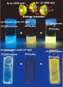 Polyethylene glycolとヒドロ桂皮酸を有する-CDの[1]ロタキサン形成(a)と[1]ロタキサンの光構造制御(b)