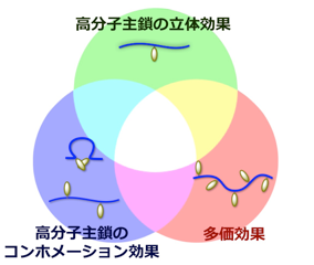 高分子性を決定する要素