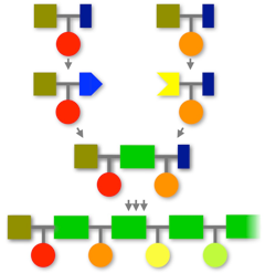 精密高分子の合成