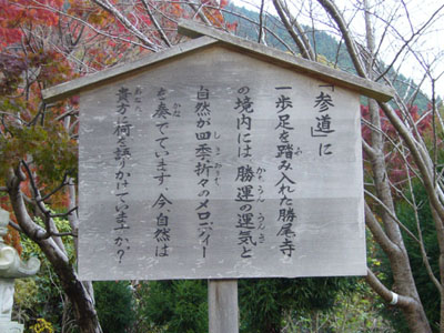 06Autumn Excursion7
