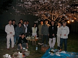 06 Hanami