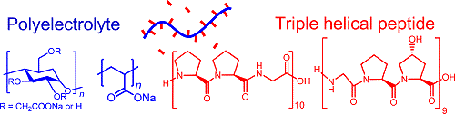 TOC